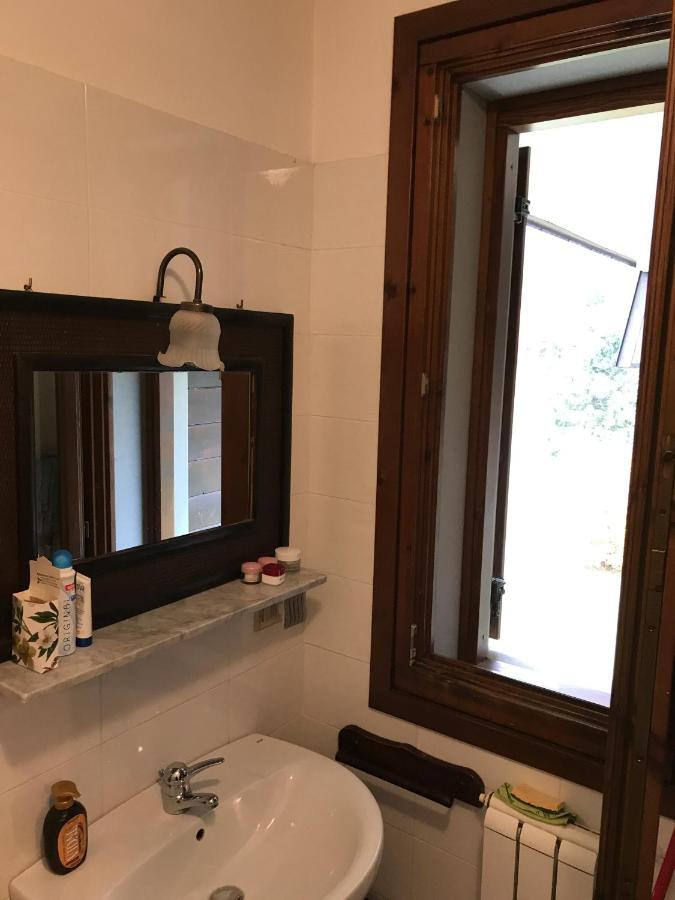 Val Di Luce - Delizioso Appartamento 6 Posti Letto - Accesso Diretto Alle Piste Da Sci 아베토네 외부 사진
