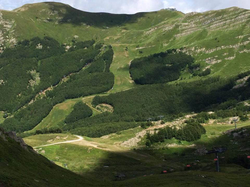 Val Di Luce - Delizioso Appartamento 6 Posti Letto - Accesso Diretto Alle Piste Da Sci 아베토네 외부 사진